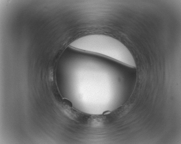 X0000062900368200601131050