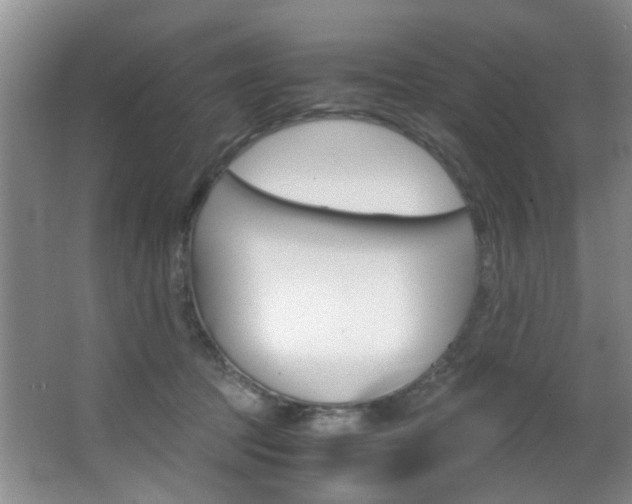 X0000062900369200601131050