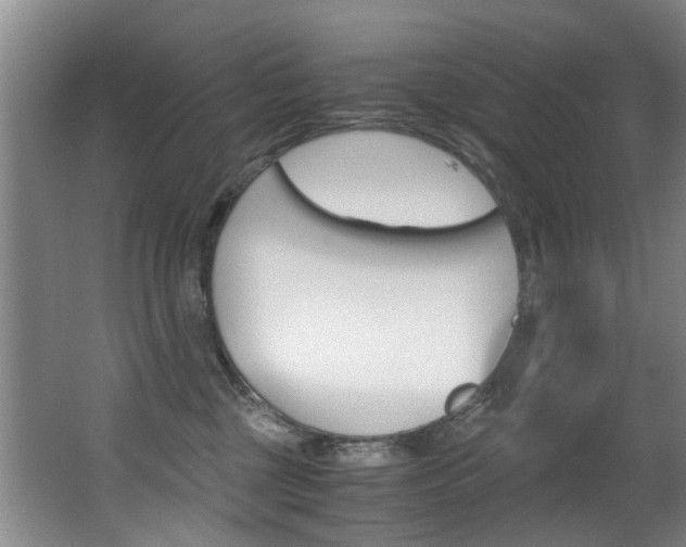 X0000062900377200601131050
