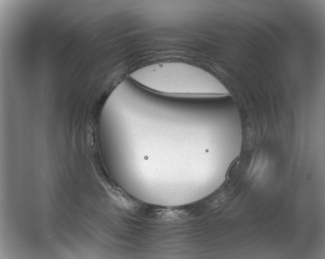 X0000062900379200601131050