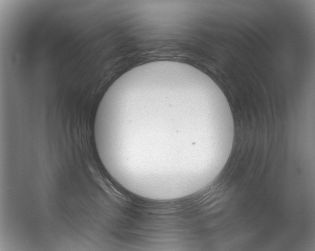 X0000062900380200601131050