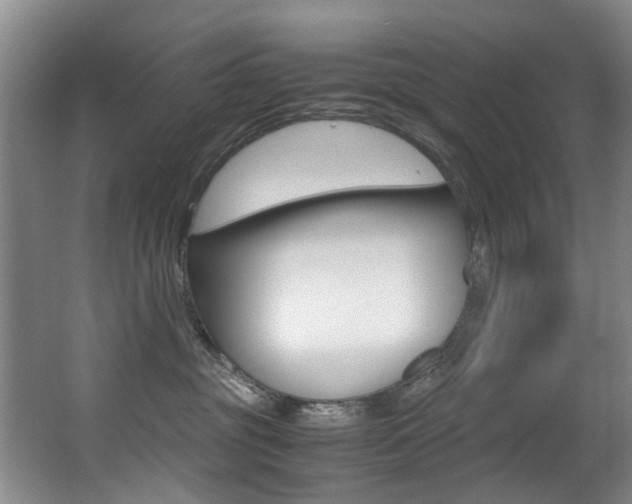 X0000062900381200601131050