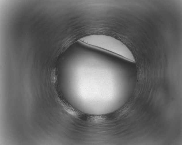 X0000062900383200601131050