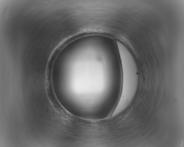 X0000062900388200601131049