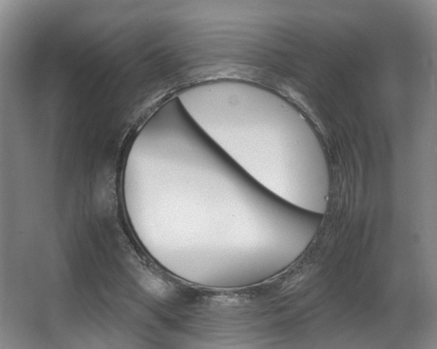 X0000062900394200601131049