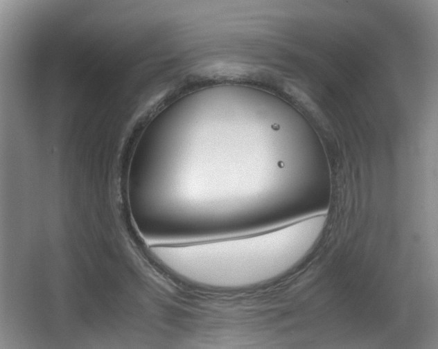 X0000062900399200601131049