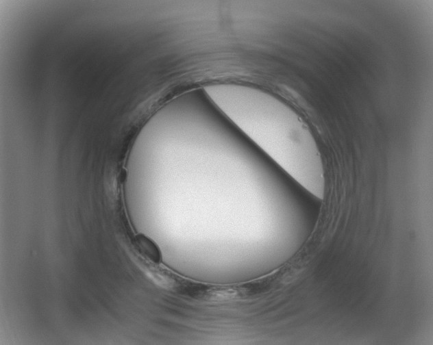 X0000062900405200601131049