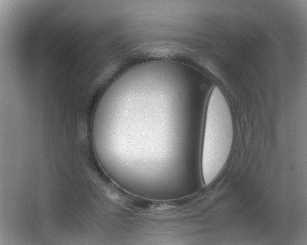 X0000062900407200601131049