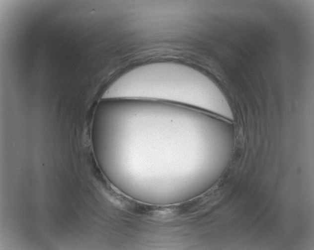 X0000062900411200601131049