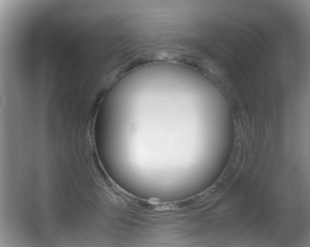 X0000062900415200601131049