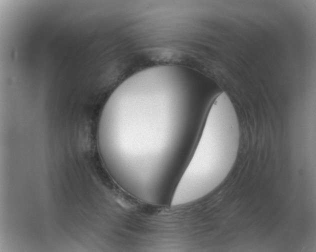 X0000062900416200601131049