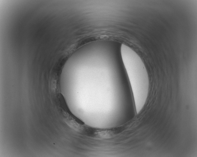 X0000062900417200601131049