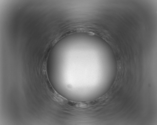 X0000062900419200601131049