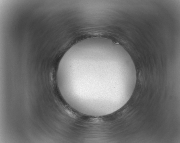 X0000062900424200601131049