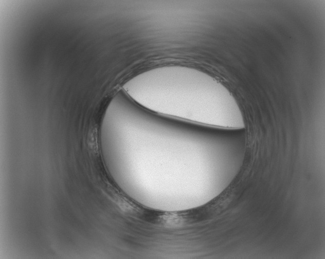 X0000062900425200601131049