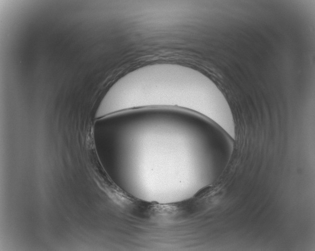 X0000062900429200601131048