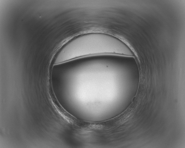 X0000062900437200601131048