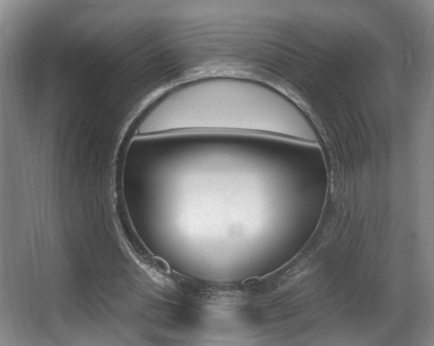 X0000062900438200601131048