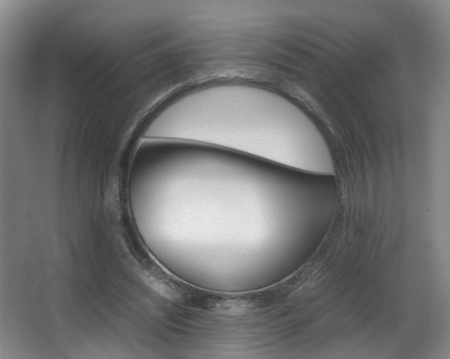 X0000062900444200601131048