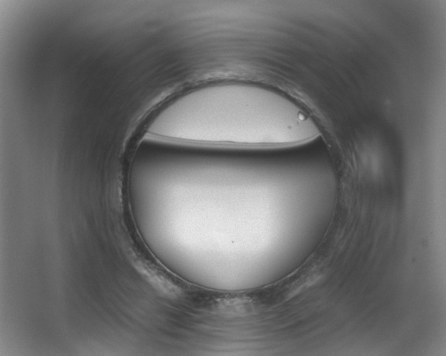 X0000062900446200601131048