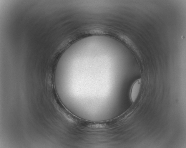 X0000062900449200601131048