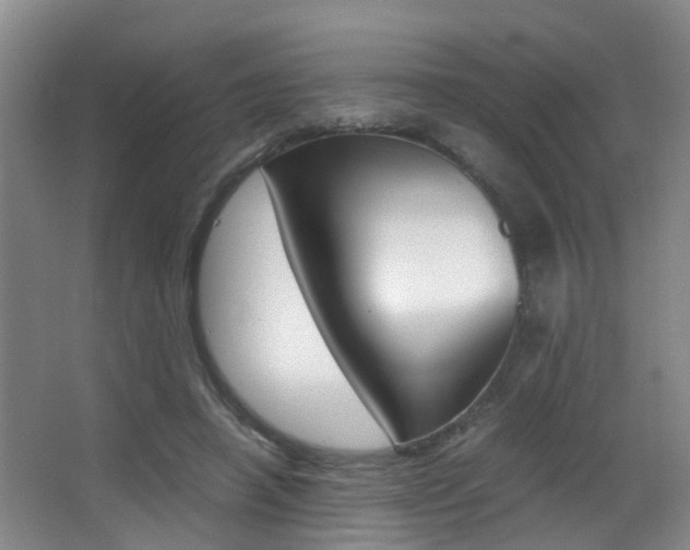 X0000062900450200601131048