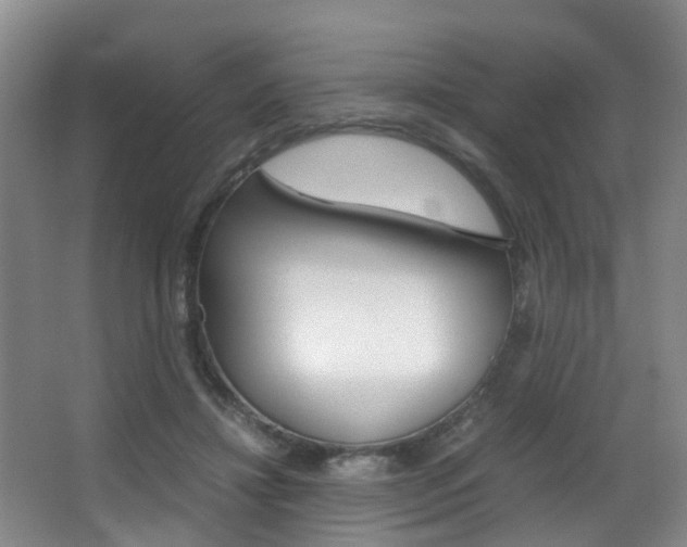 X0000062900452200601131048