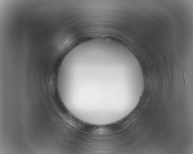 X0000062900460200601131048