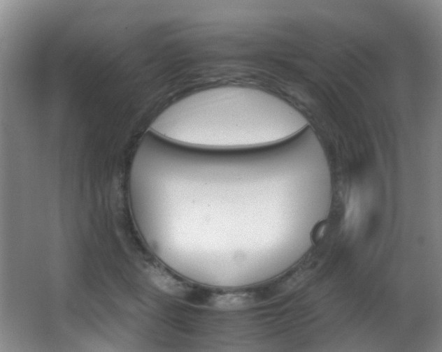 X0000062900461200601131048
