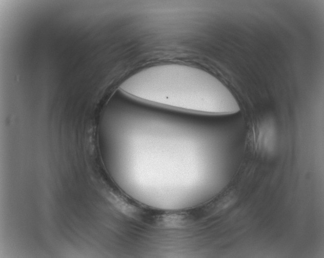 X0000062900462200601131048
