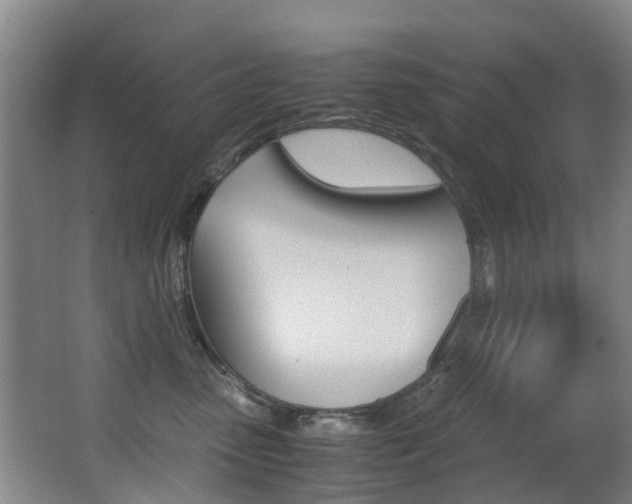 X0000062900475200601131048