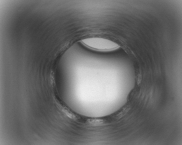 X0000062900476200601131048