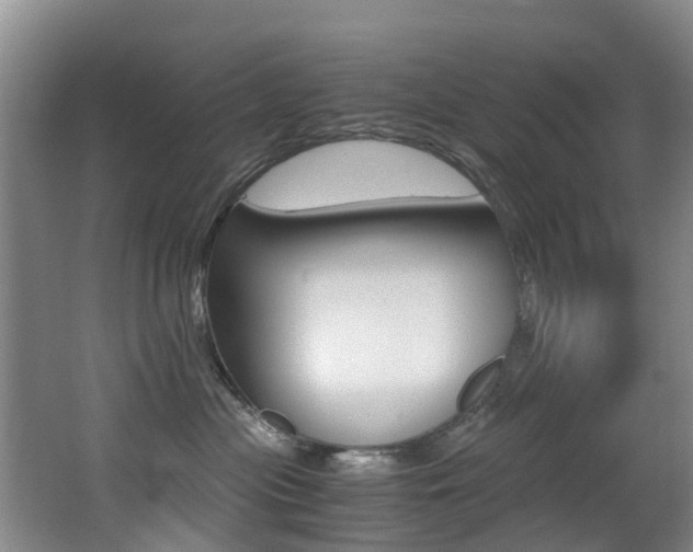 X0000062900477200601131048