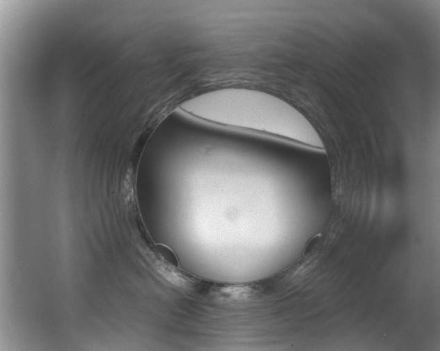 X0000062900478200601131048
