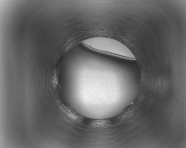 X0000062900479200601131048