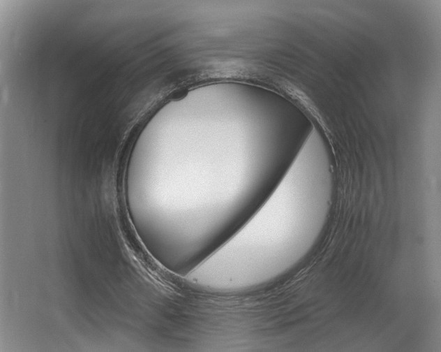 X0000062900482200601131047