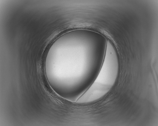 X0000062900483200601131047