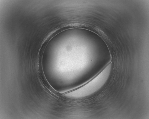 X0000062900484200601131047