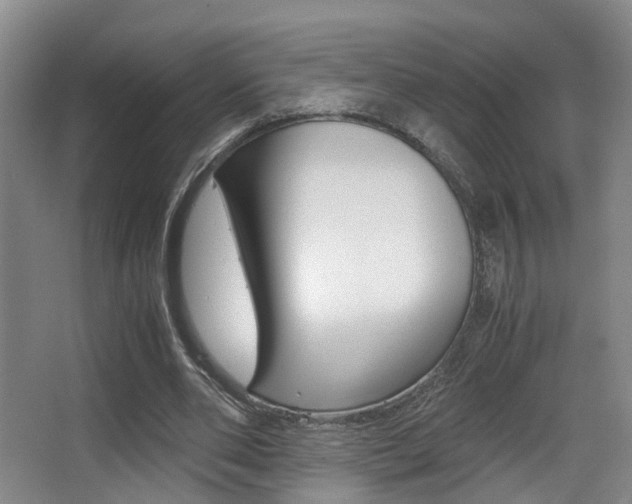 X0000062900486200601131047