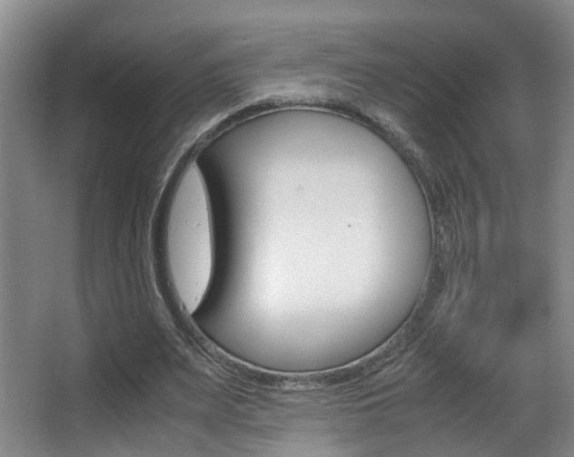 X0000062900487200601131047