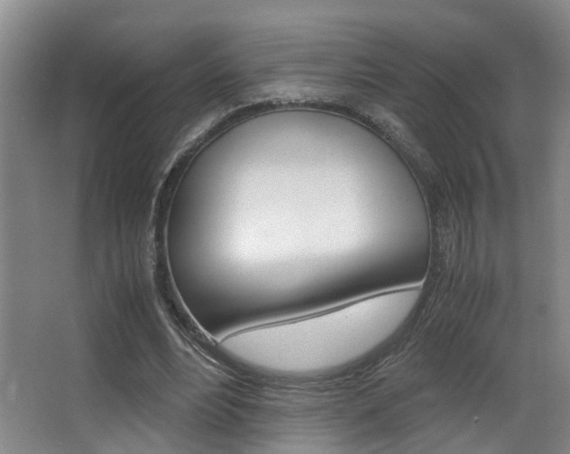 X0000062900488200601131047