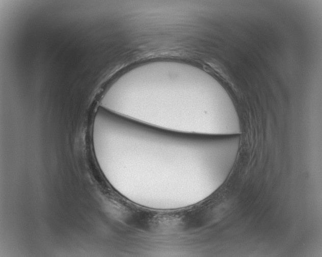X0000062900491200601131047