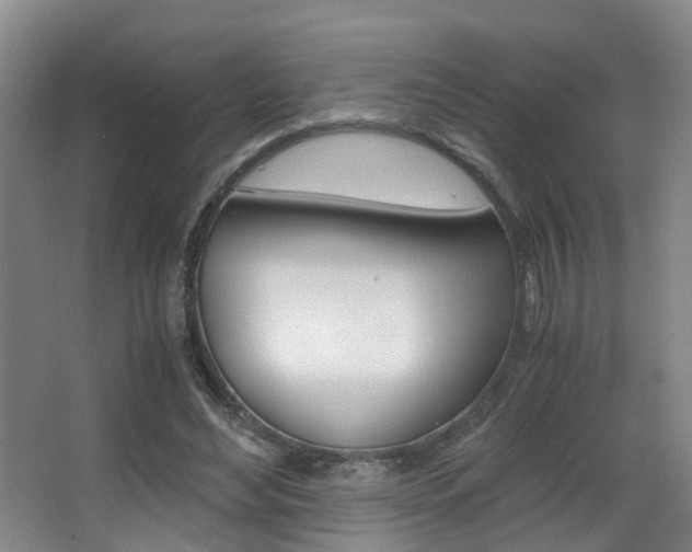 X0000062900492200601131047
