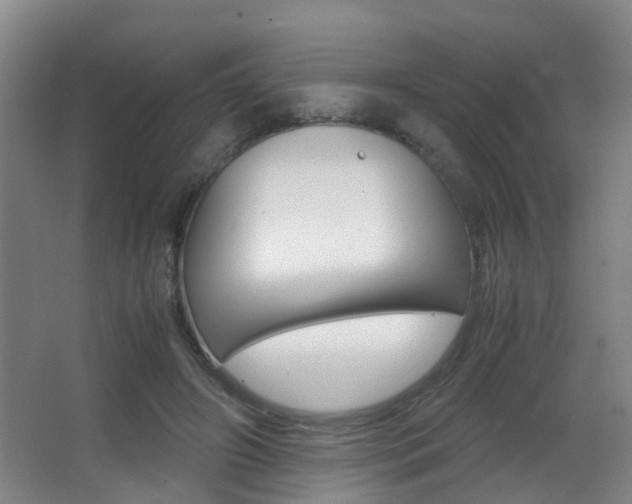 X0000062900498200601131047