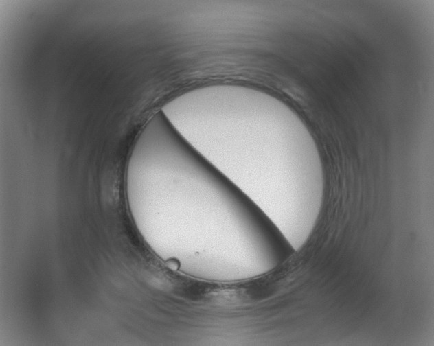 X0000062900499200601131047