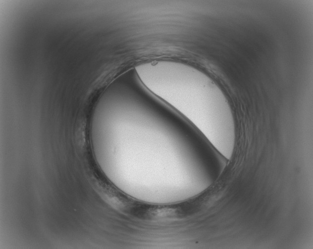X0000062900501200601131047