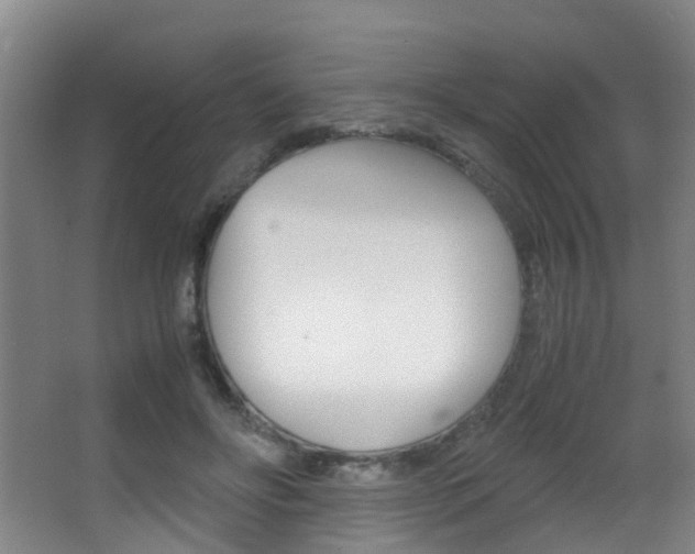X0000062900502200601131047