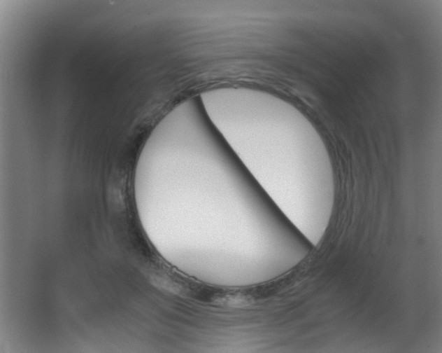 X0000062900503200601131047
