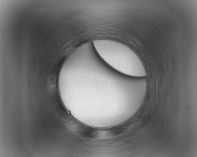 X0000062900507200601131047