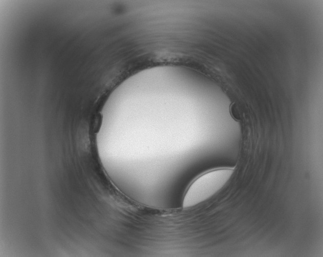 X0000062900508200601131047
